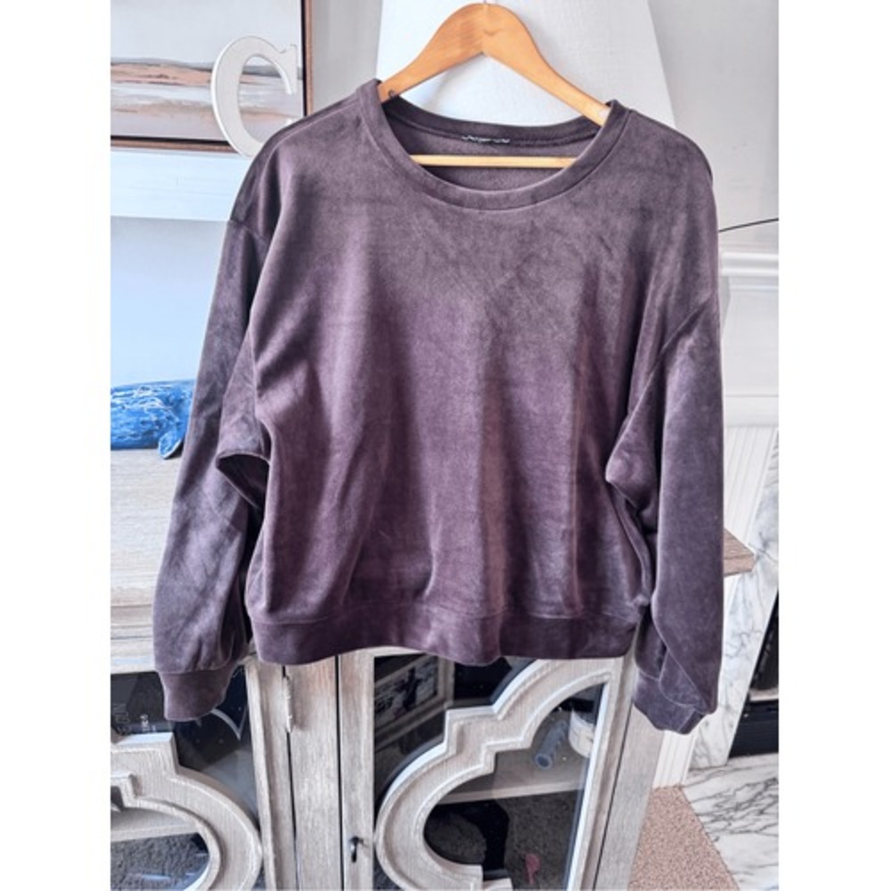 Express Velour Pullover Sweatshirt Women‎ Brown Large (T1)